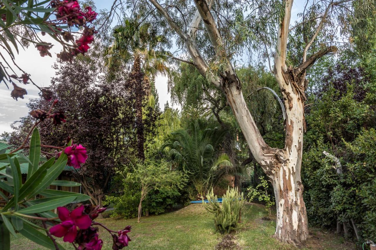 מנדוזה Alquiler Temp "Una Pausa" Barrio Privado En Vistalba מראה חיצוני תמונה