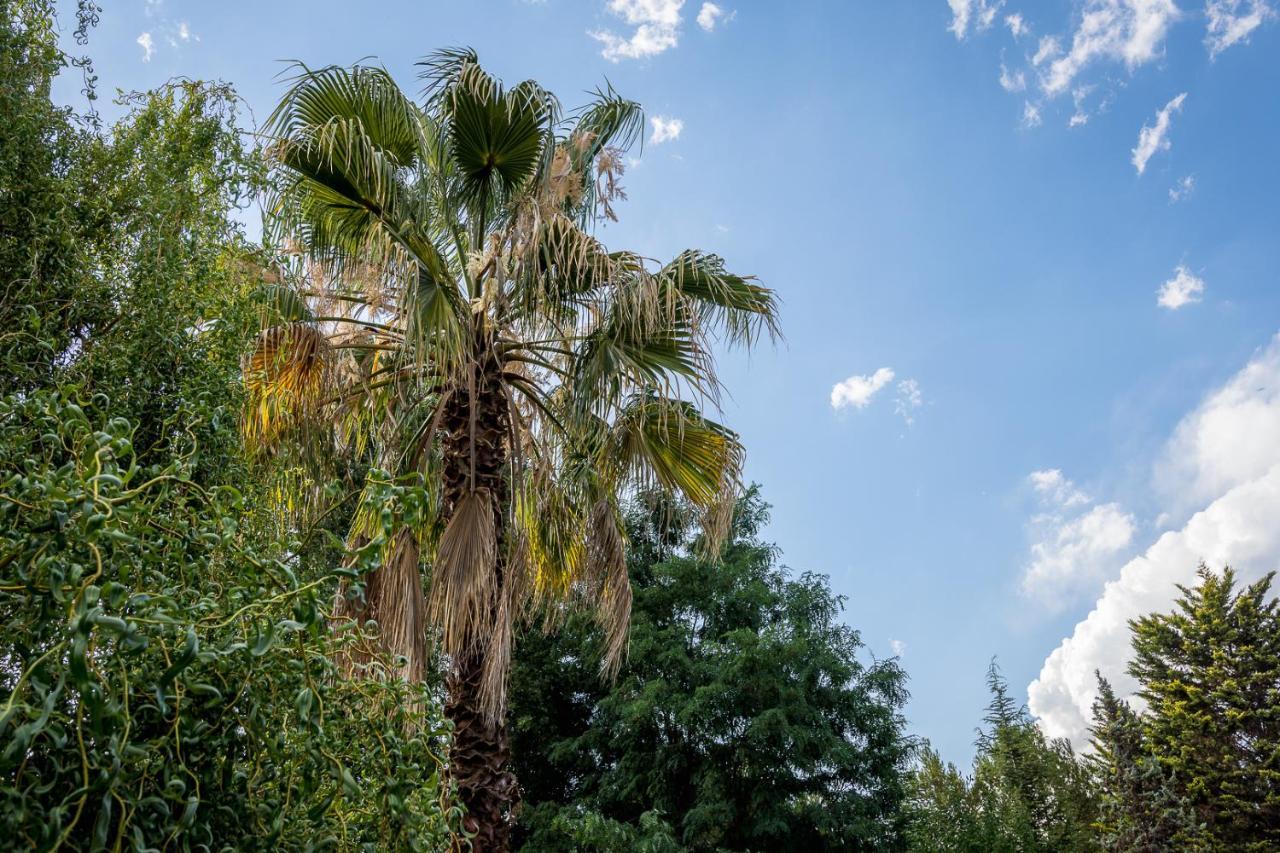 מנדוזה Alquiler Temp "Una Pausa" Barrio Privado En Vistalba מראה חיצוני תמונה