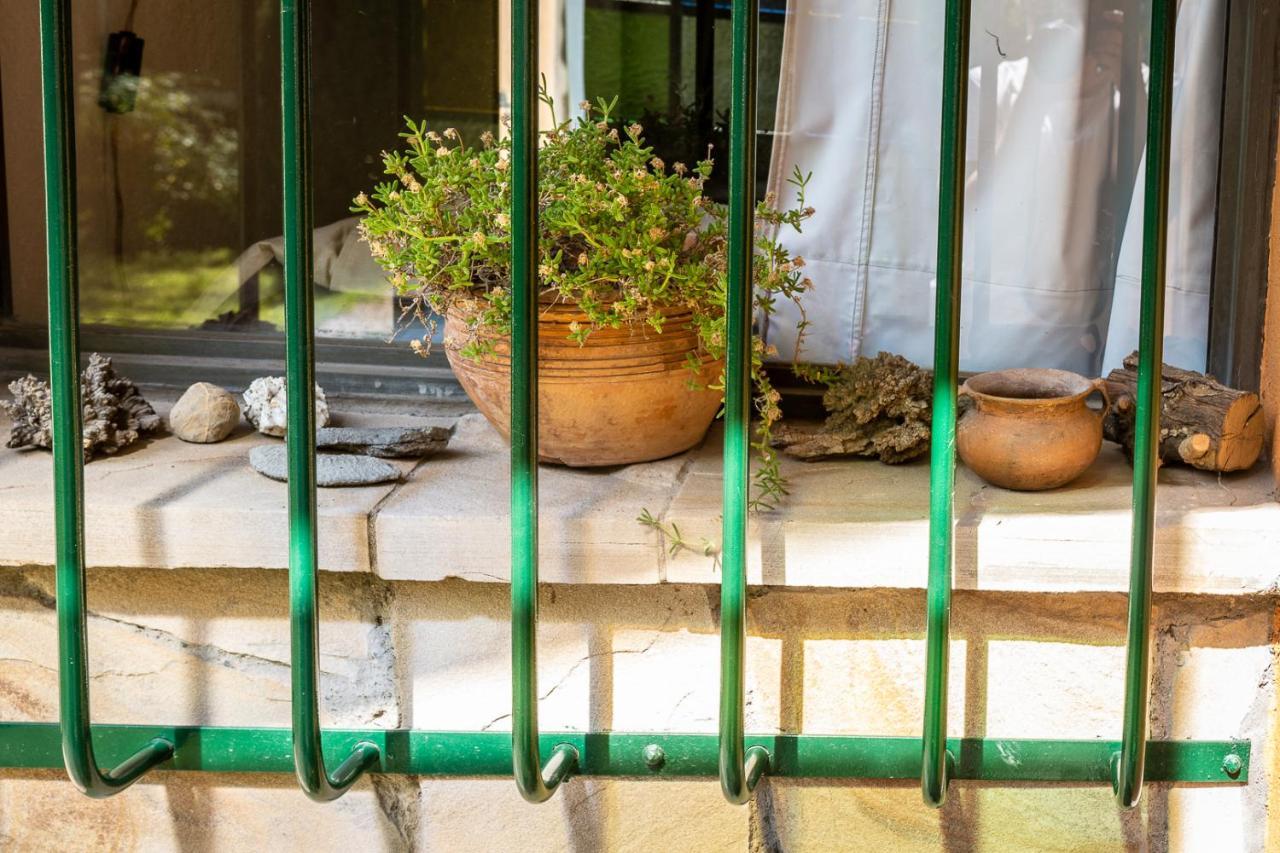 מנדוזה Alquiler Temp "Una Pausa" Barrio Privado En Vistalba מראה חיצוני תמונה